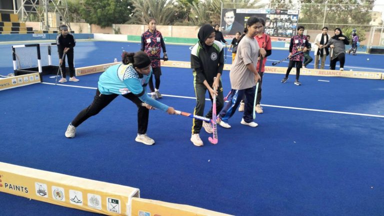 Third Day Free Summer Hockey Training Camp